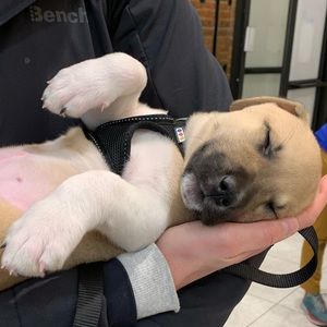 Meet your Posher, Emily